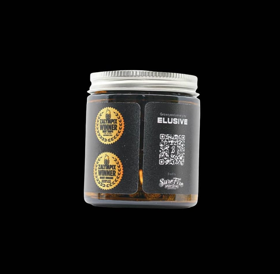 Guz Treatz Shmediums | 14g - Image 3