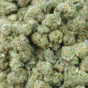 Guz Treatz Shmediums | 14g