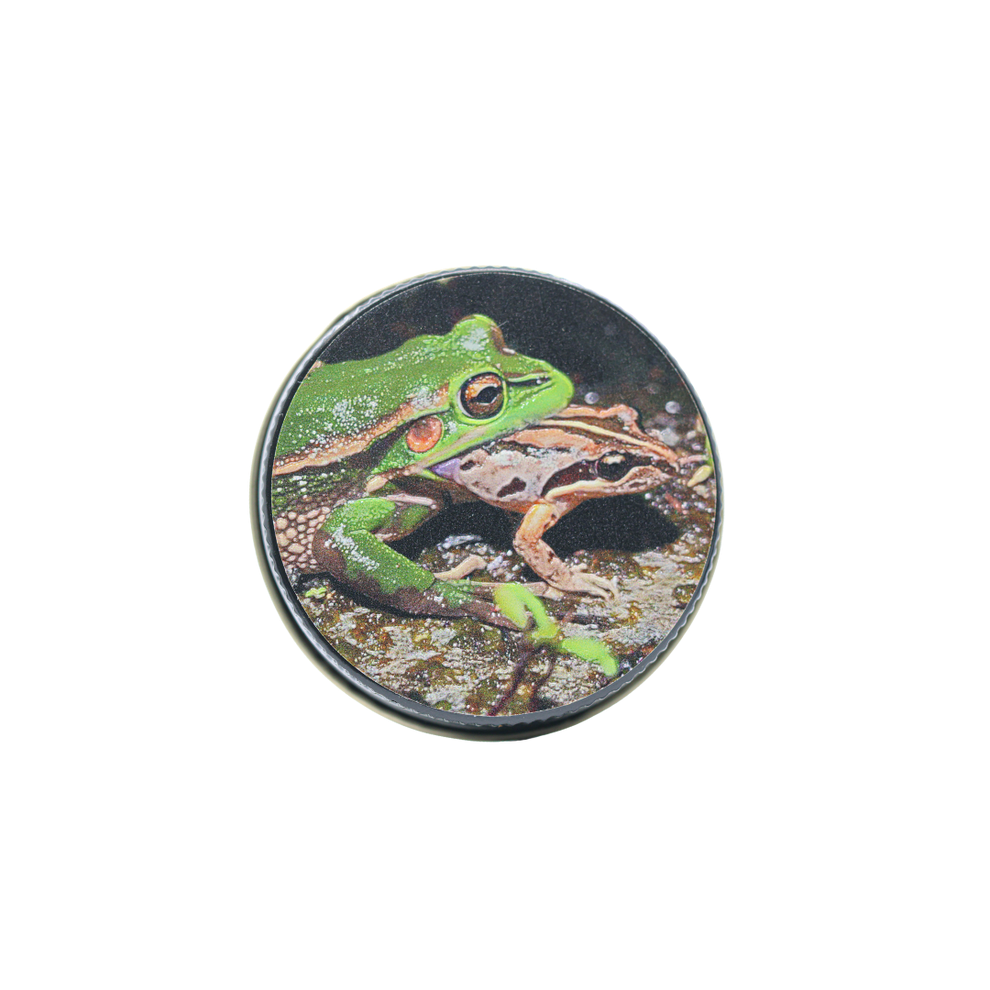 toad top ffc0d7bc 6bff 43cb 931b 057913226690.png