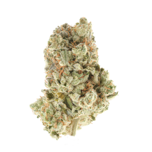 GG4 | 7-gram